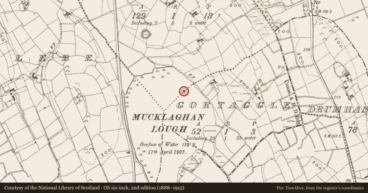 Ordnance Survey six-inch map, 2nd edition (1888–1915) covering the location of Crannog, Gortaggle, Mucklaghan Glebe, County Leitrim, with a pin at the register's coordinates
