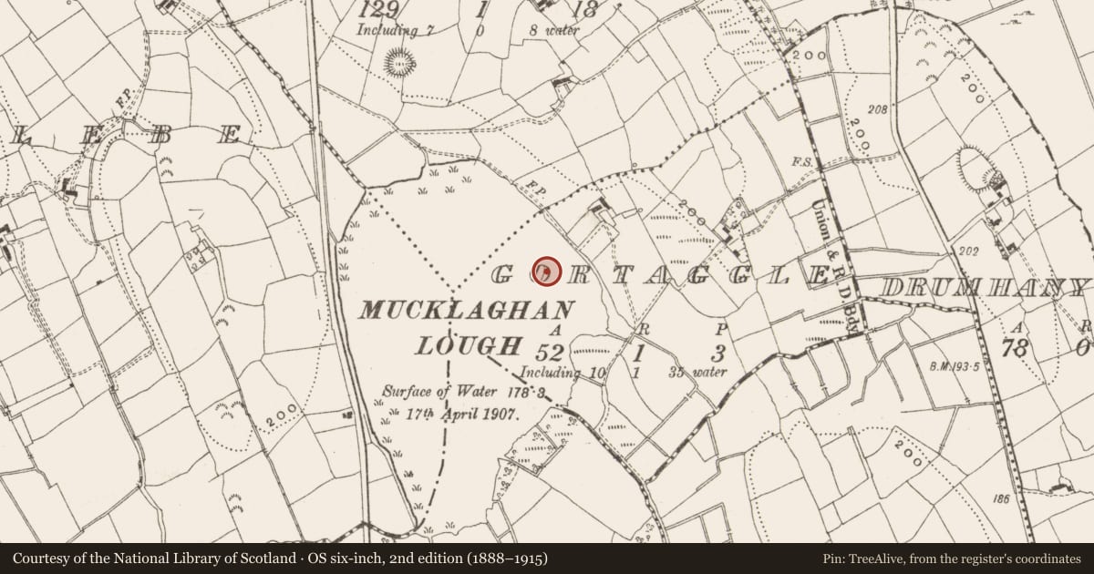 Ordnance Survey six-inch map, 2nd edition (1888–1915) covering the location of Crannog, Gortaggle, County Leitrim, with a pin at the register's coordinates