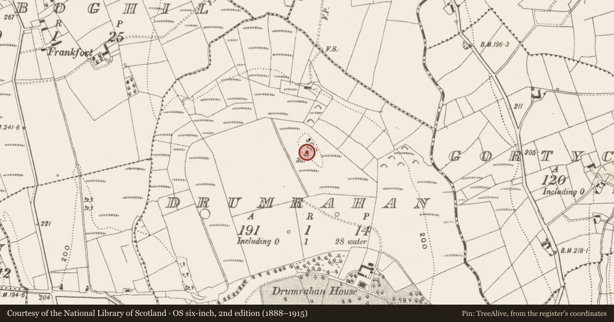Ordnance Survey six-inch map, 2nd edition (1888–1915) covering the location of Barrow - mound barrow, Drumrahan, County Leitrim, with a pin at the register's coordinates