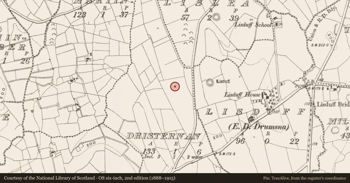 Ordnance Survey six-inch map, 2nd edition (1888–1915) covering the location of Ringfort - rath, Dristernan, County Leitrim, with a pin at the register's coordinates