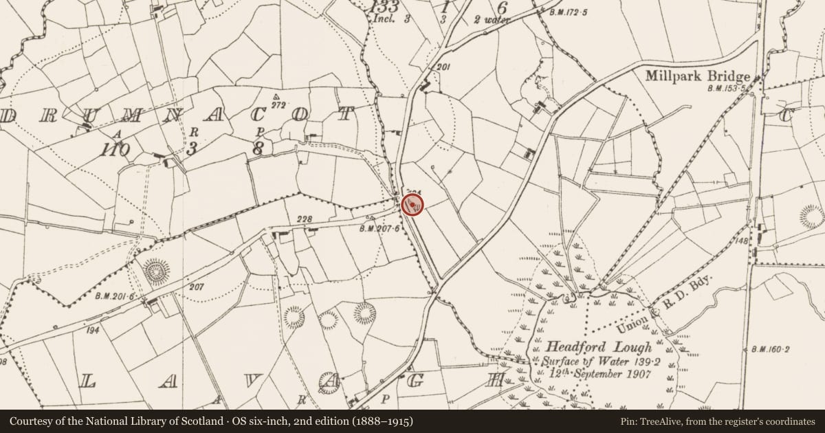 Ordnance Survey six-inch map, 2nd edition (1888–1915) covering the location of Ringfort - rath, Dristernan, County Leitrim, with a pin at the register's coordinates