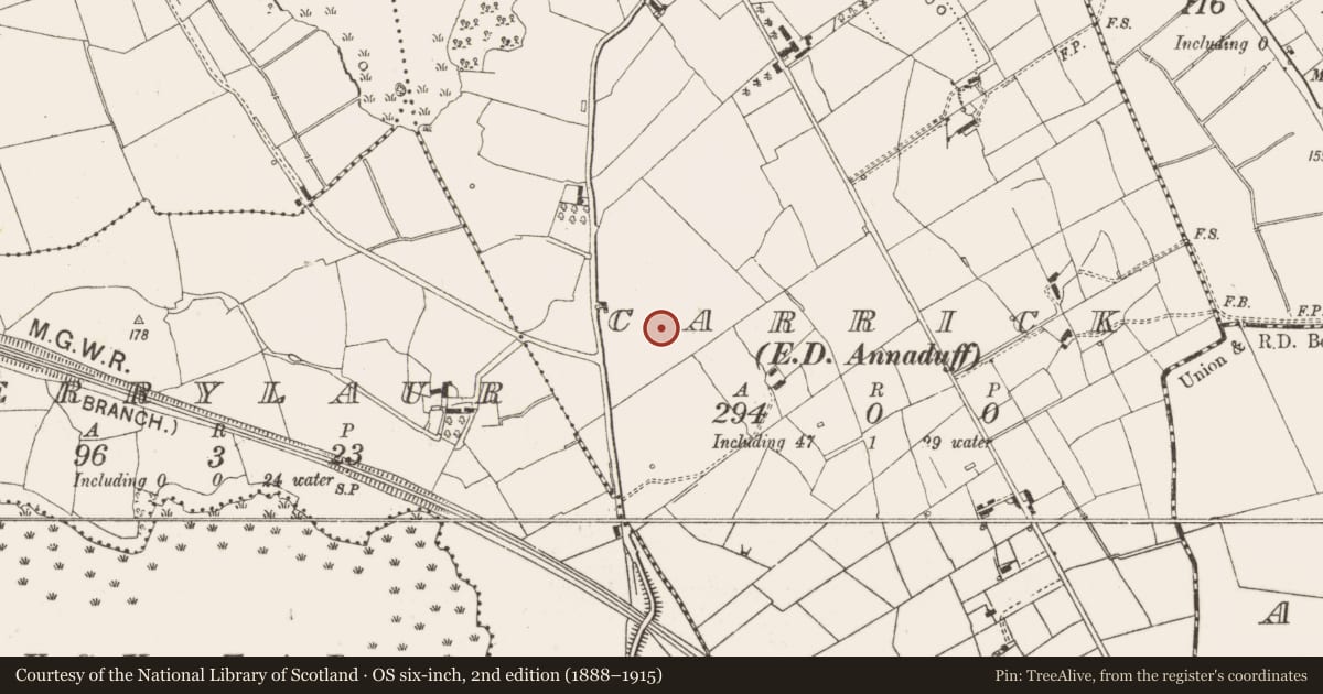 Ordnance Survey six-inch map, 2nd edition (1888–1915) covering the location of Ringfort - rath, Carrick, County Leitrim, with a pin at the register's coordinates