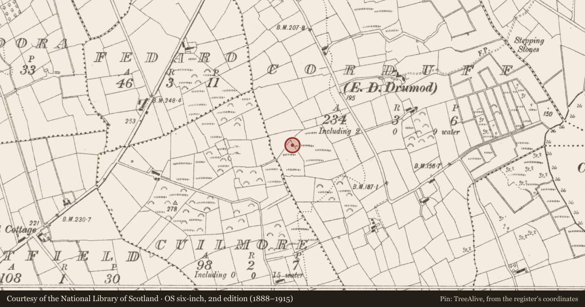 Ordnance Survey six-inch map, 2nd edition (1888–1915) covering the location of Barrow - ring-barrow, Corduff, County Leitrim, with a pin at the register's coordinates