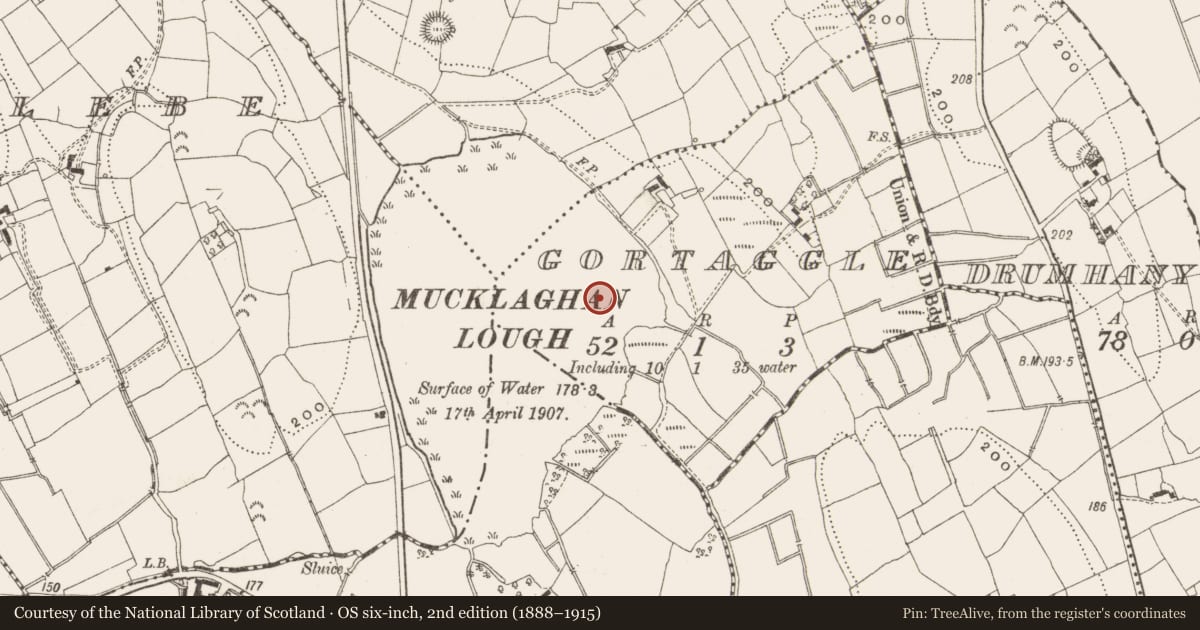 Ordnance Survey six-inch map, 2nd edition (1888–1915) covering the location of Crannog, Gortaggle, County Leitrim, with a pin at the register's coordinates