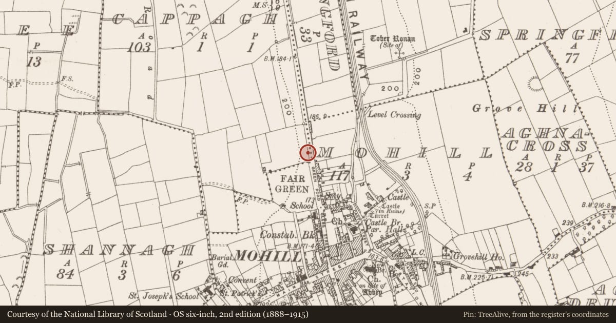 Ordnance Survey six-inch map, 2nd edition (1888–1915) covering the location of Stone head (present location), Mohill, County Leitrim, with a pin at the register's coordinates