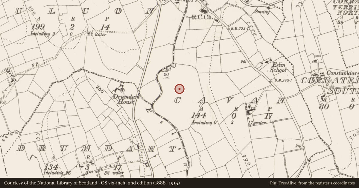 Ordnance Survey six-inch map, 2nd edition (1888–1915) covering the location of Mound, Cavan, County Leitrim, with a pin at the register's coordinates