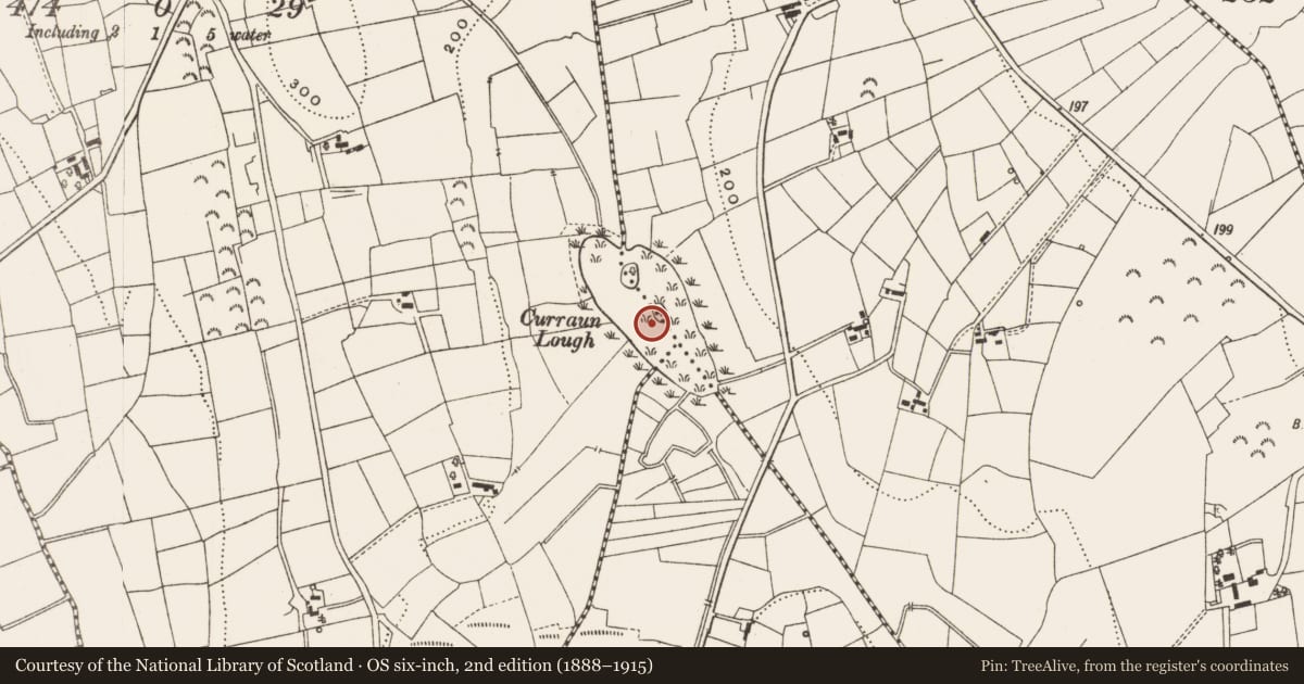 Ordnance Survey six-inch map, 2nd edition (1888–1915) covering the location of Crannog, Curraun, Drumgowla, County Leitrim, with a pin at the register's coordinates