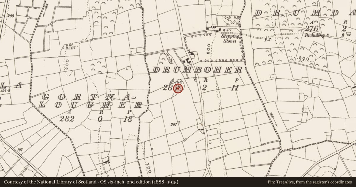 Ordnance Survey six-inch map, 2nd edition (1888–1915) covering the location of Ringfort - rath, Drumboher, County Leitrim, with a pin at the register's coordinates