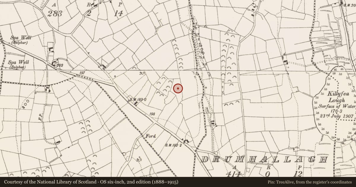 Ordnance Survey six-inch map, 2nd edition (1888–1915) covering the location of Ringfort - rath, Edergole, County Leitrim, with a pin at the register's coordinates