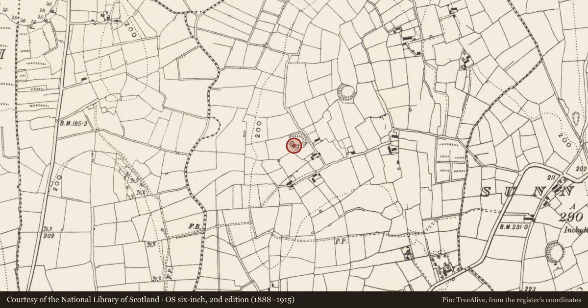 Ordnance Survey six-inch map, 2nd edition (1888–1915) covering the location of Ringfort - rath, Annaghmacullen, County Leitrim, with a pin at the register's coordinates