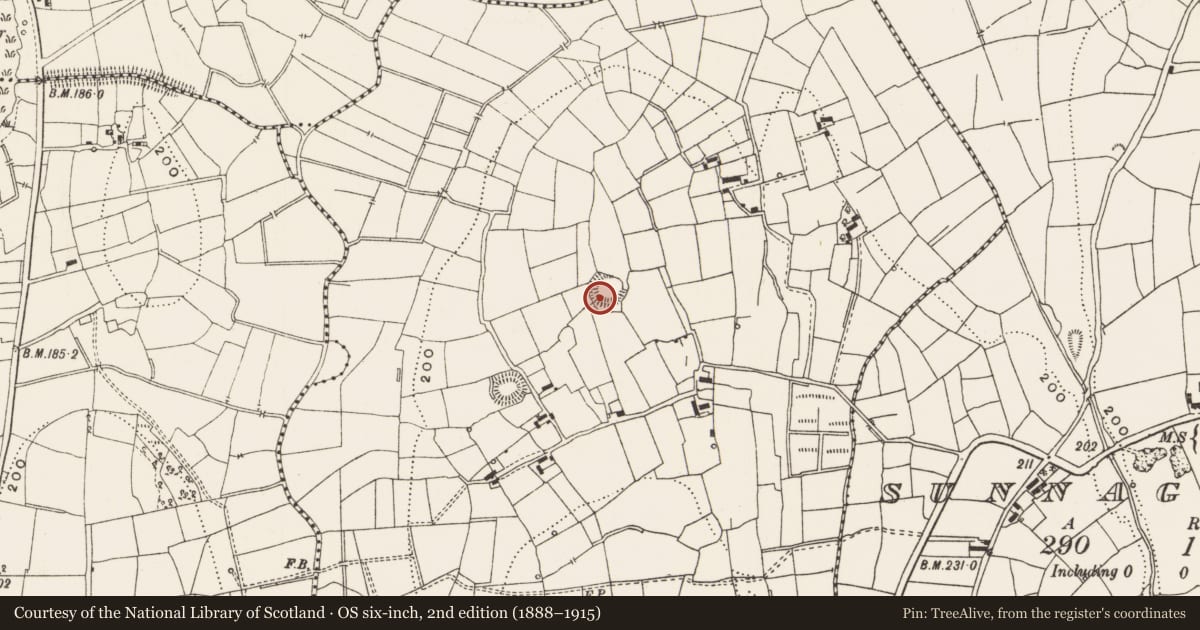 Ordnance Survey six-inch map, 2nd edition (1888–1915) covering the location of Ringfort - rath, Annaghmacullen, County Leitrim, with a pin at the register's coordinates
