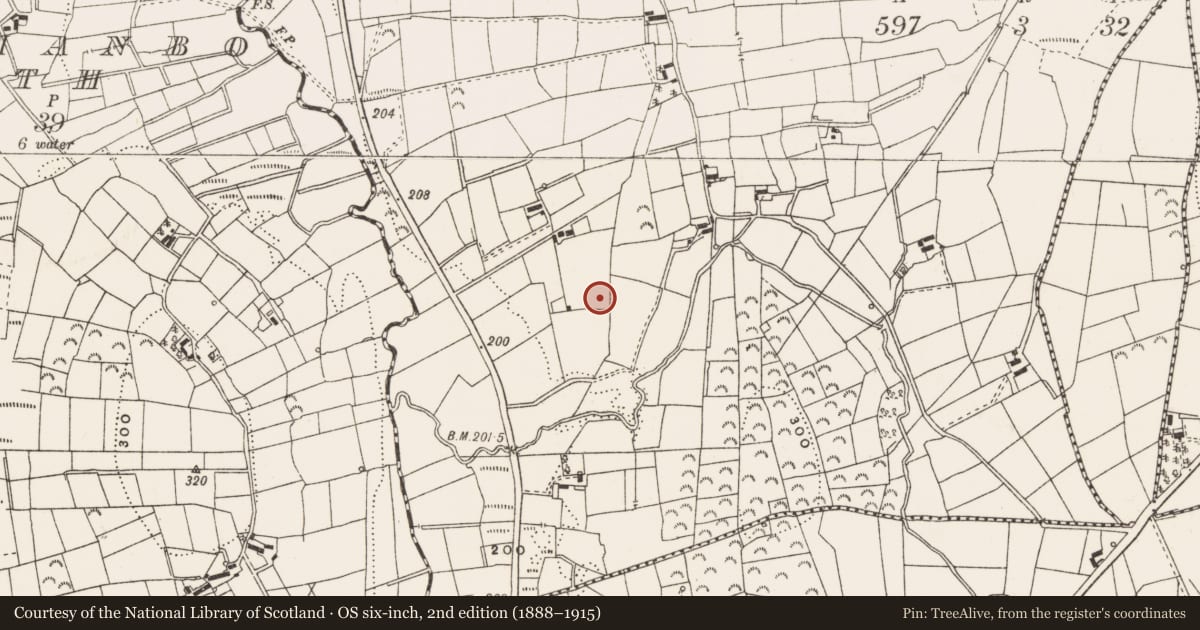 Ordnance Survey six-inch map, 2nd edition (1888–1915) covering the location of Megalithic structure, Corraneary, County Leitrim, with a pin at the register's coordinates