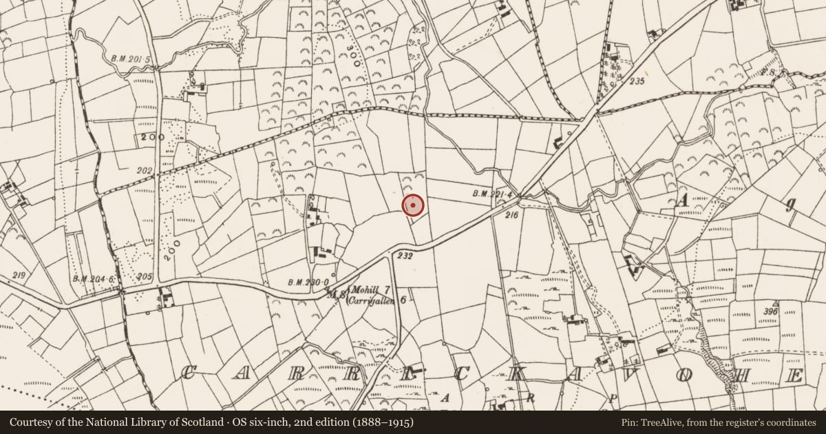 Ordnance Survey six-inch map, 2nd edition (1888–1915) covering the location of Kiln - corn-drying, Carrickavoher, County Leitrim, with a pin at the register's coordinates