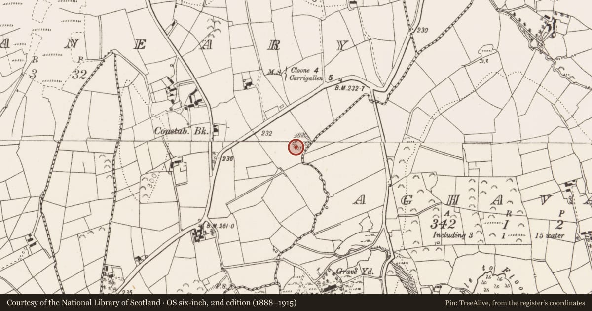Ordnance Survey six-inch map, 2nd edition (1888–1915) covering the location of Ringfort - rath, Corraneary, County Leitrim, with a pin at the register's coordinates