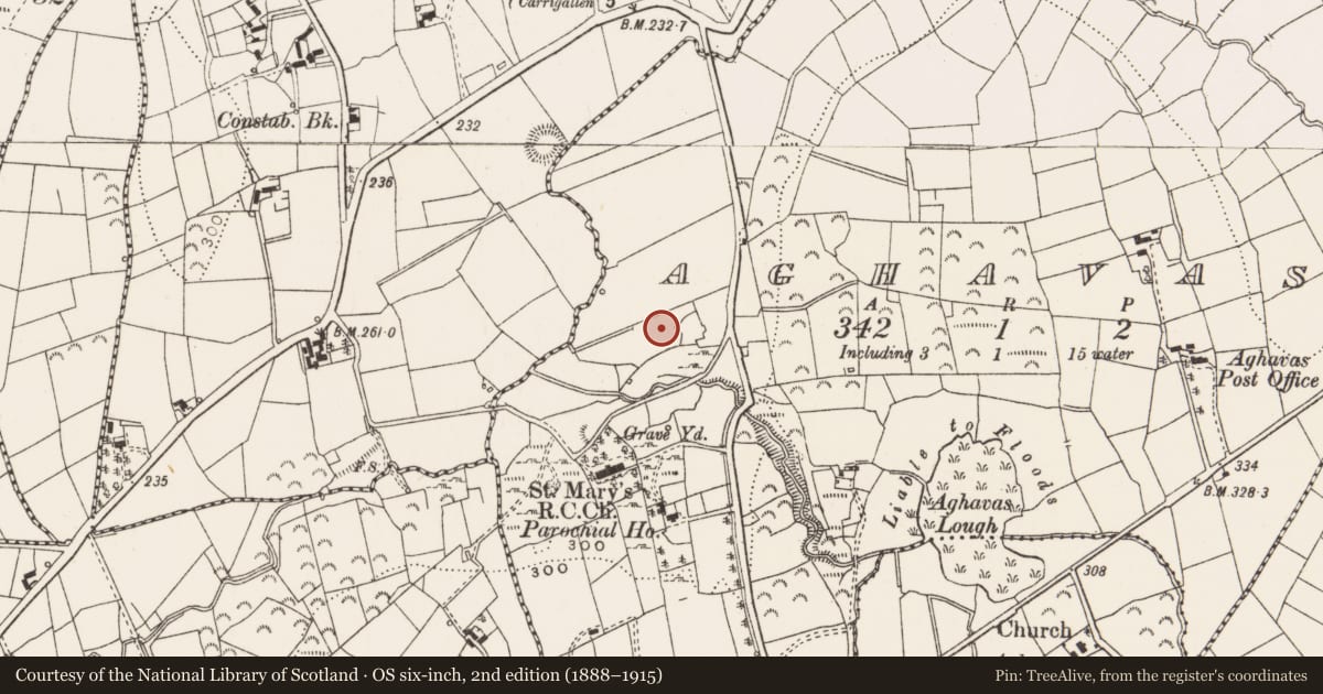 Ordnance Survey six-inch map, 2nd edition (1888–1915) covering the location of Megalithic tomb - portal tomb, Aghavas, County Leitrim, with a pin at the register's coordinates