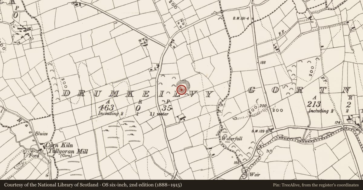 Ordnance Survey six-inch map, 2nd edition (1888–1915) covering the location of Ringfort - rath, Drumkeilvy, County Leitrim, with a pin at the register's coordinates