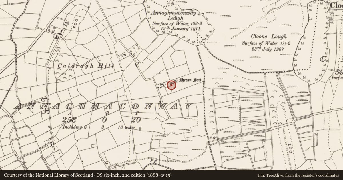 Ordnance Survey six-inch map, 2nd edition (1888–1915) covering the location of Ringfort - rath, Annaghmaconway, County Leitrim, with a pin at the register's coordinates