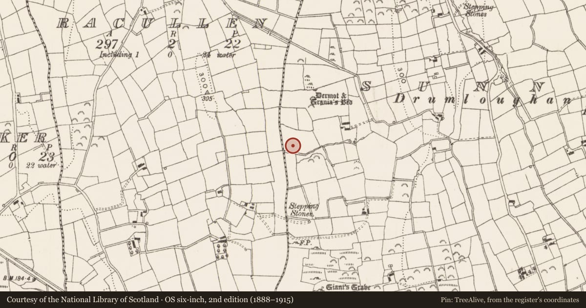 Ordnance Survey six-inch map, 2nd edition (1888–1915) covering the location of Mound, Sunnagh More, County Leitrim, with a pin at the register's coordinates
