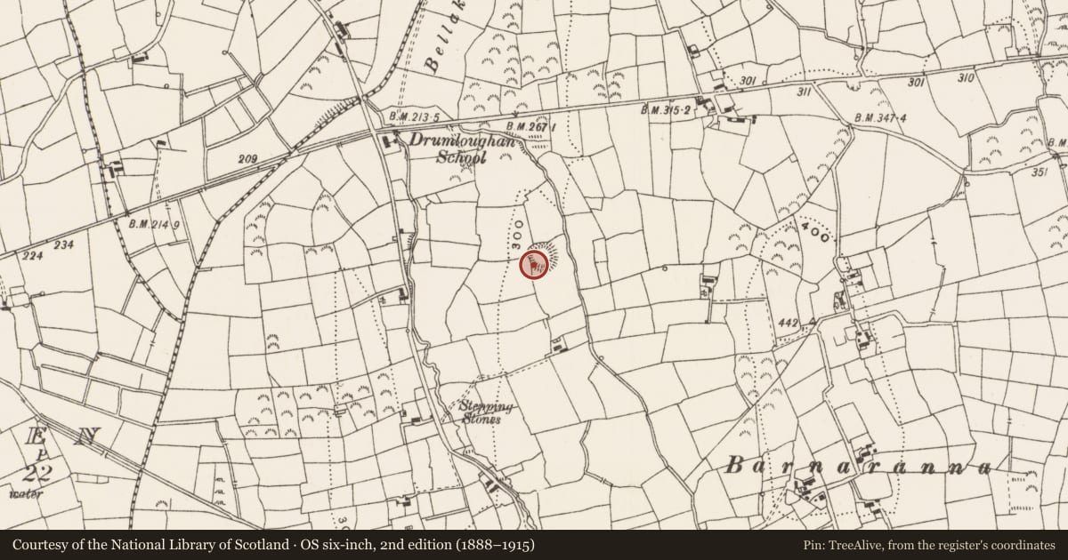 Ordnance Survey six-inch map, 2nd edition (1888–1915) covering the location of Ringfort - rath, Sunnagh More, County Leitrim, with a pin at the register's coordinates