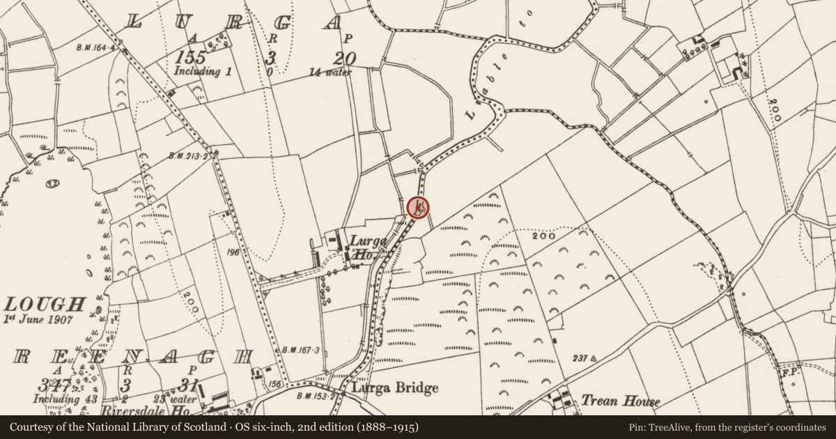 Ordnance Survey six-inch map, 2nd edition (1888–1915) covering the location of Weir - regulating, Lurga, Trean, County Leitrim, with a pin at the register's coordinates