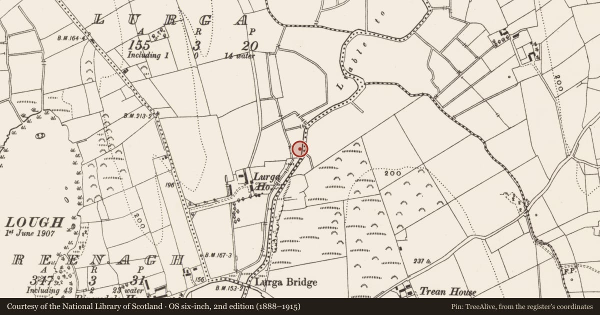Ordnance Survey six-inch map, 2nd edition (1888–1915) covering the location of Ford, Lurga, Trean, County Leitrim, with a pin at the register's coordinates