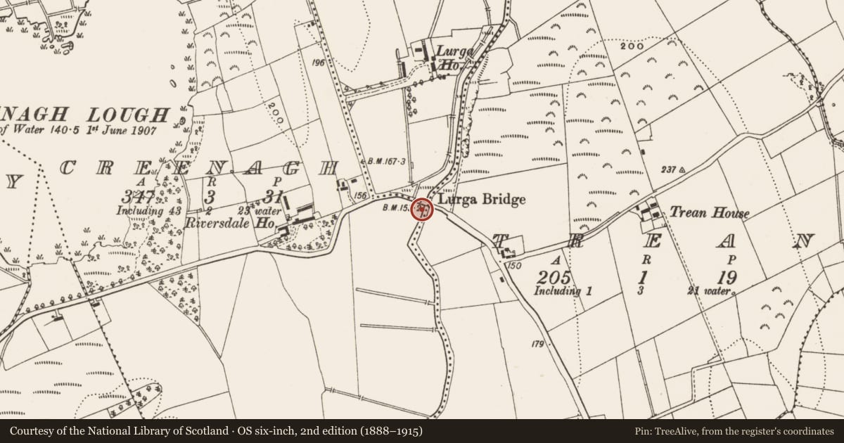 Ordnance Survey six-inch map, 2nd edition (1888–1915) covering the location of Bridge, County Leitrim, with a pin at the register's coordinates