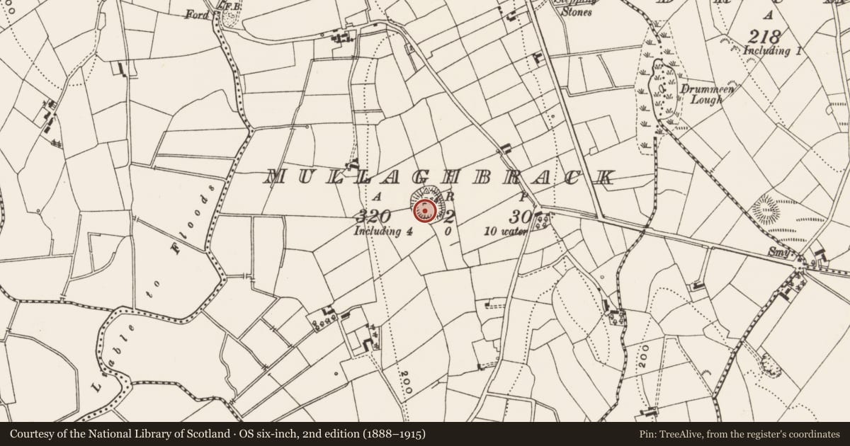 Ordnance Survey six-inch map, 2nd edition (1888–1915) covering the location of Ringfort - rath, Mullaghbrack, County Leitrim, with a pin at the register's coordinates