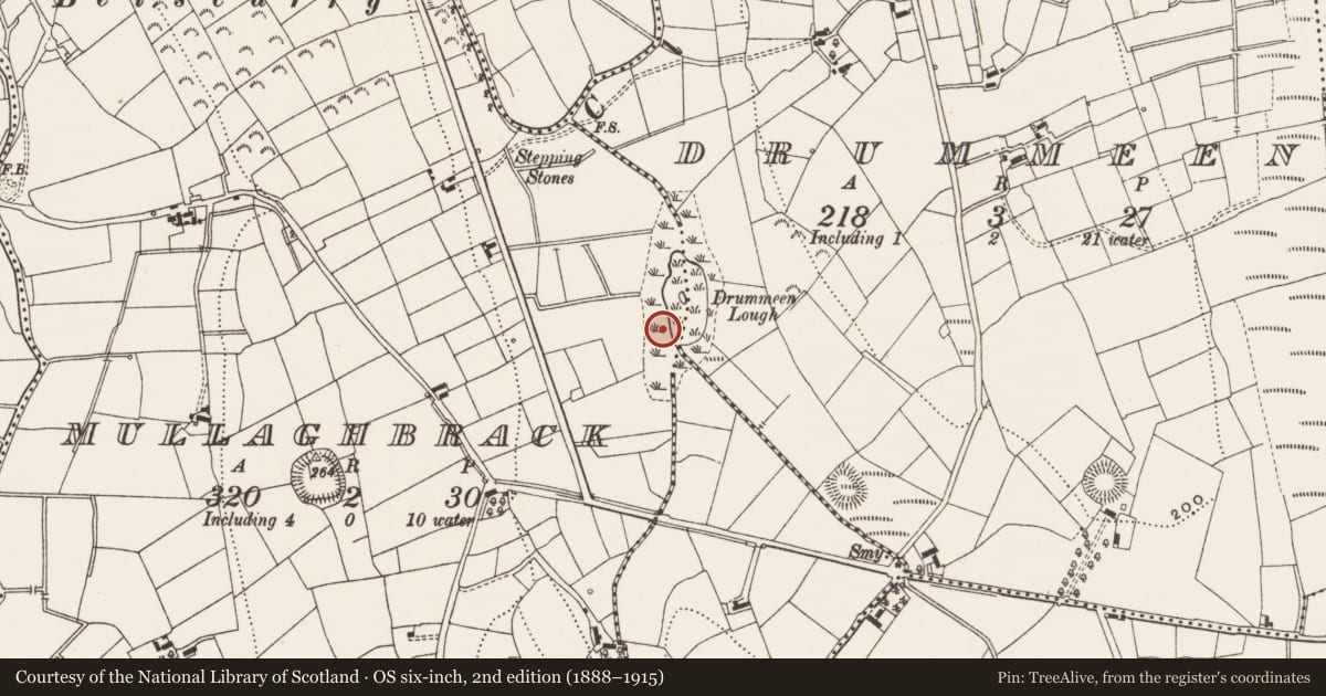 Ordnance Survey six-inch map, 2nd edition (1888–1915) covering the location of Crannog, Drummeen, Mullaghbrack, County Leitrim, with a pin at the register's coordinates