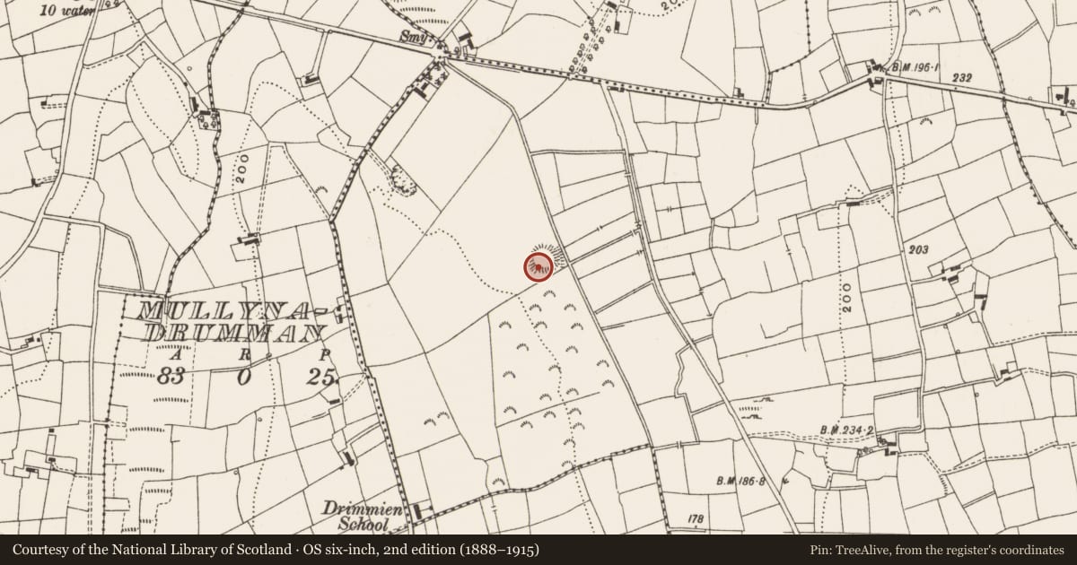 Ordnance Survey six-inch map, 2nd edition (1888–1915) covering the location of Ringfort - rath, Drumconny, County Leitrim, with a pin at the register's coordinates