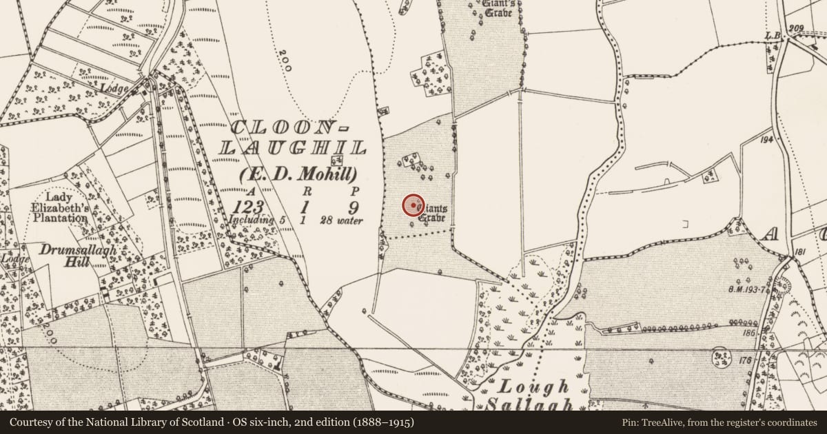Ordnance Survey six-inch map, 2nd edition (1888–1915) covering the location of Megalithic tomb - court tomb, Creenagh, County Leitrim, with a pin at the register's coordinates