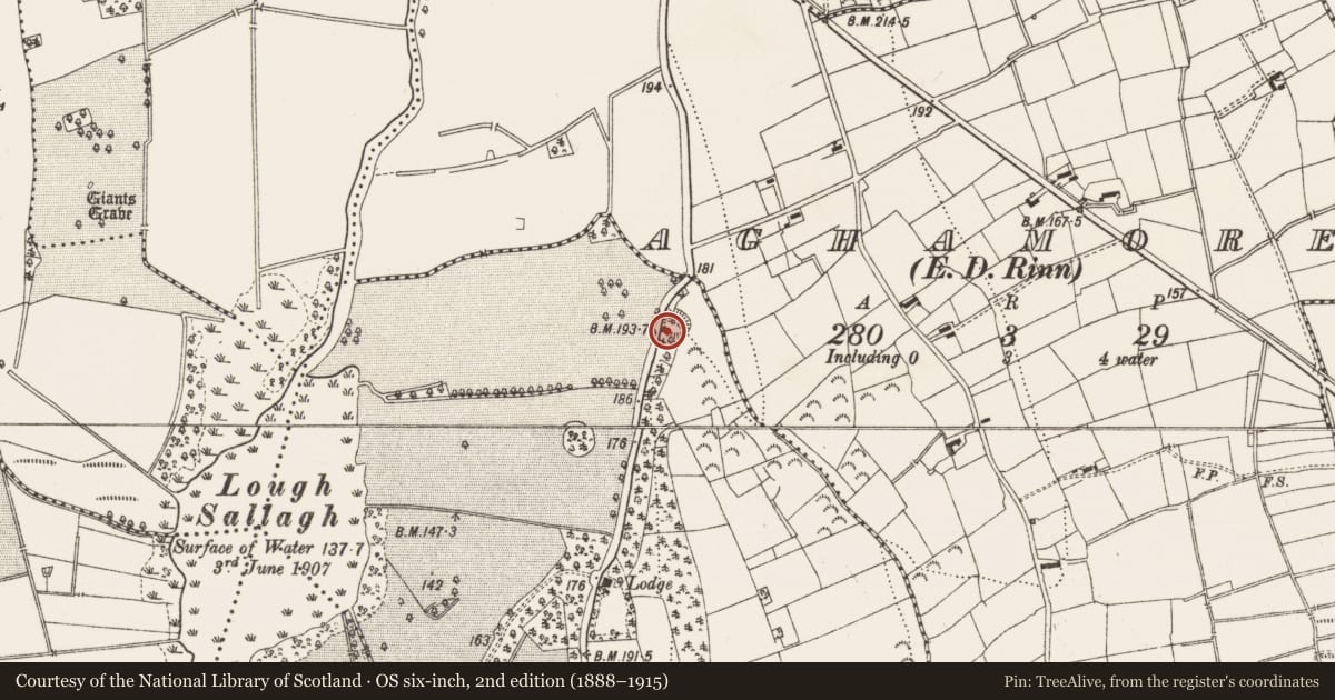 Ordnance Survey six-inch map, 2nd edition (1888–1915) covering the location of Ringfort - rath, Breanross North, County Leitrim, with a pin at the register's coordinates