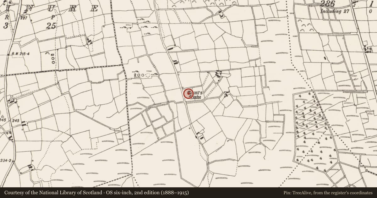 Ordnance Survey six-inch map, 2nd edition (1888–1915) covering the location of Megalithic tomb - unclassified, Drumconny, County Leitrim, with a pin at the register's coordinates