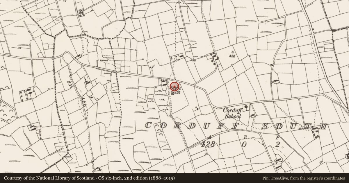 Ordnance Survey six-inch map, 2nd edition (1888–1915) covering the location of Megalithic tomb - wedge tomb, Corduff South, County Leitrim, with a pin at the register's coordinates