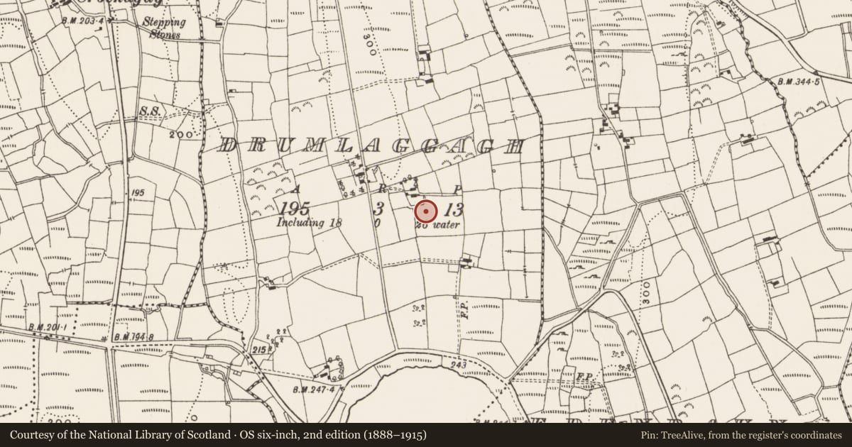 Ordnance Survey six-inch map, 2nd edition (1888–1915) covering the location of Rock scribing - folk art, Drumlaggagh, County Leitrim, with a pin at the register's coordinates