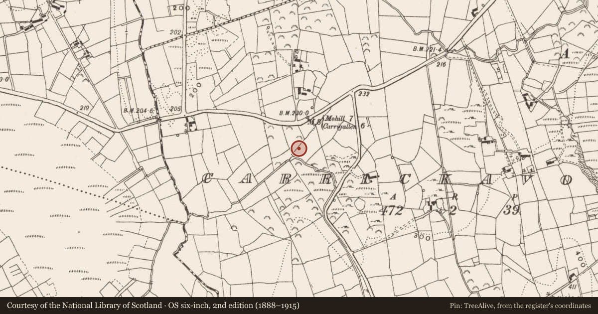 Ordnance Survey six-inch map, 2nd edition (1888–1915) covering the location of Burnt mound, Carrickavoher, County Leitrim, with a pin at the register's coordinates