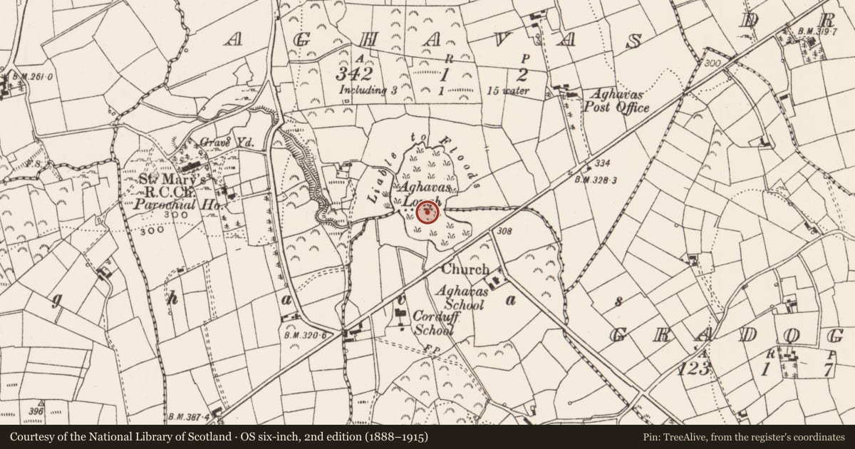 Ordnance Survey six-inch map, 2nd edition (1888–1915) covering the location of Habitation site, Aghavas, County Leitrim, with a pin at the register's coordinates