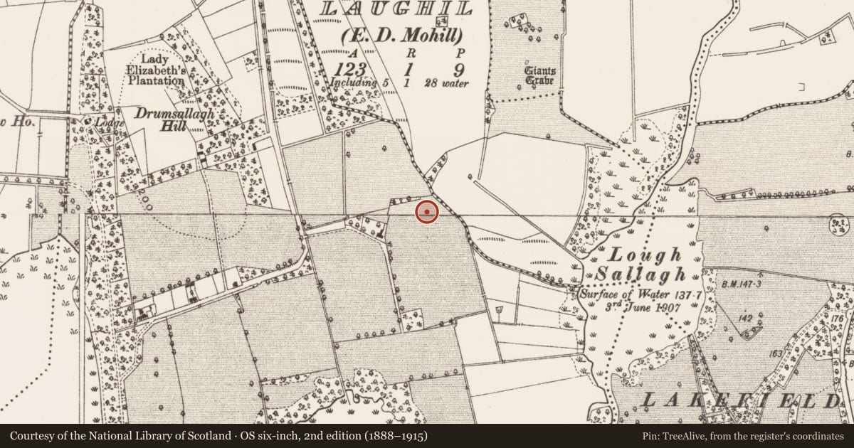 Ordnance Survey six-inch map, 2nd edition (1888–1915) covering the location of Burnt mound, Rinn, County Leitrim, with a pin at the register's coordinates
