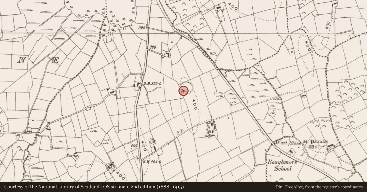 Ordnance Survey six-inch map, 2nd edition (1888–1915) covering the location of Ringfort - rath, Drumderglin, County Leitrim, with a pin at the register's coordinates
