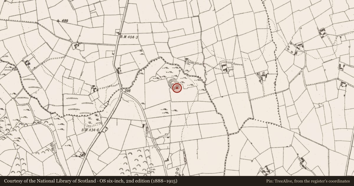 Ordnance Survey six-inch map, 2nd edition (1888–1915) covering the location of Field system, Tully South, County Leitrim, with a pin at the register's coordinates