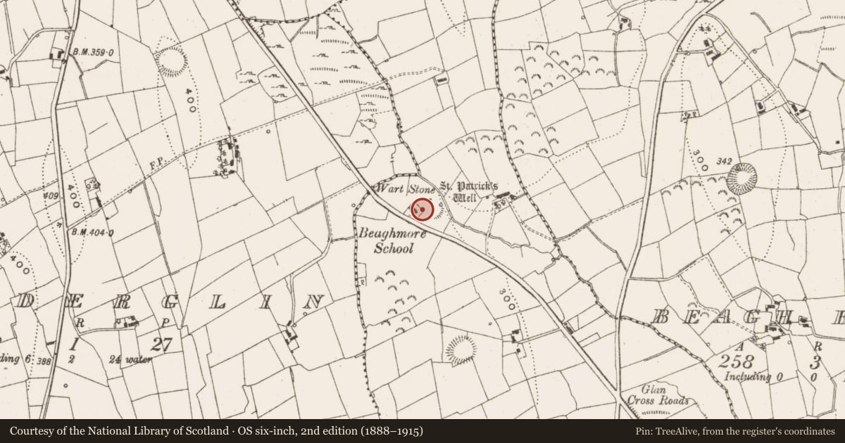 Ordnance Survey six-inch map, 2nd edition (1888–1915) covering the location of Bullaun stone, Beagh More, County Leitrim, with a pin at the register's coordinates