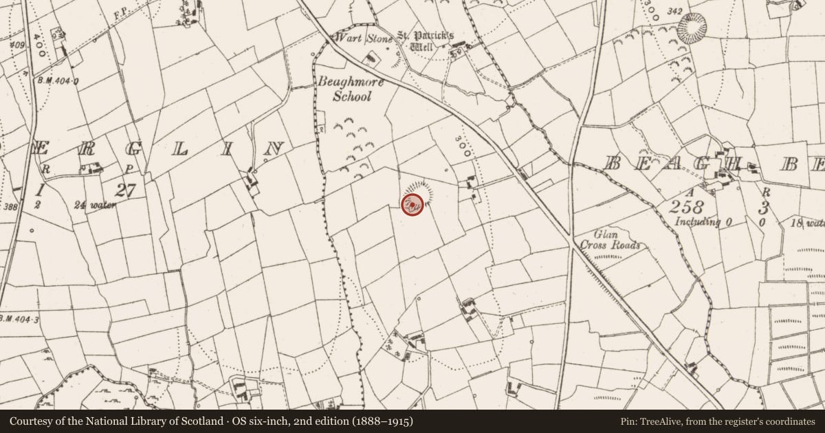 Ordnance Survey six-inch map, 2nd edition (1888–1915) covering the location of Ringfort - rath, Beagh More, County Leitrim, with a pin at the register's coordinates