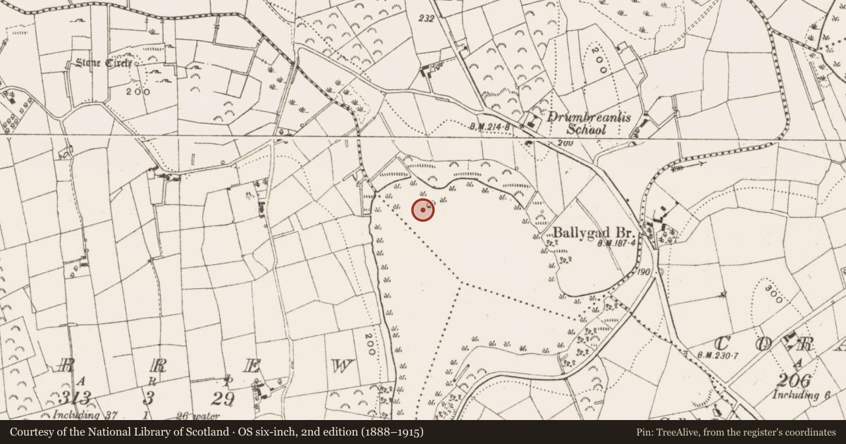 Ordnance Survey six-inch map, 2nd edition (1888–1915) covering the location of Crannog, Drumbreanlis, County Leitrim, with a pin at the register's coordinates