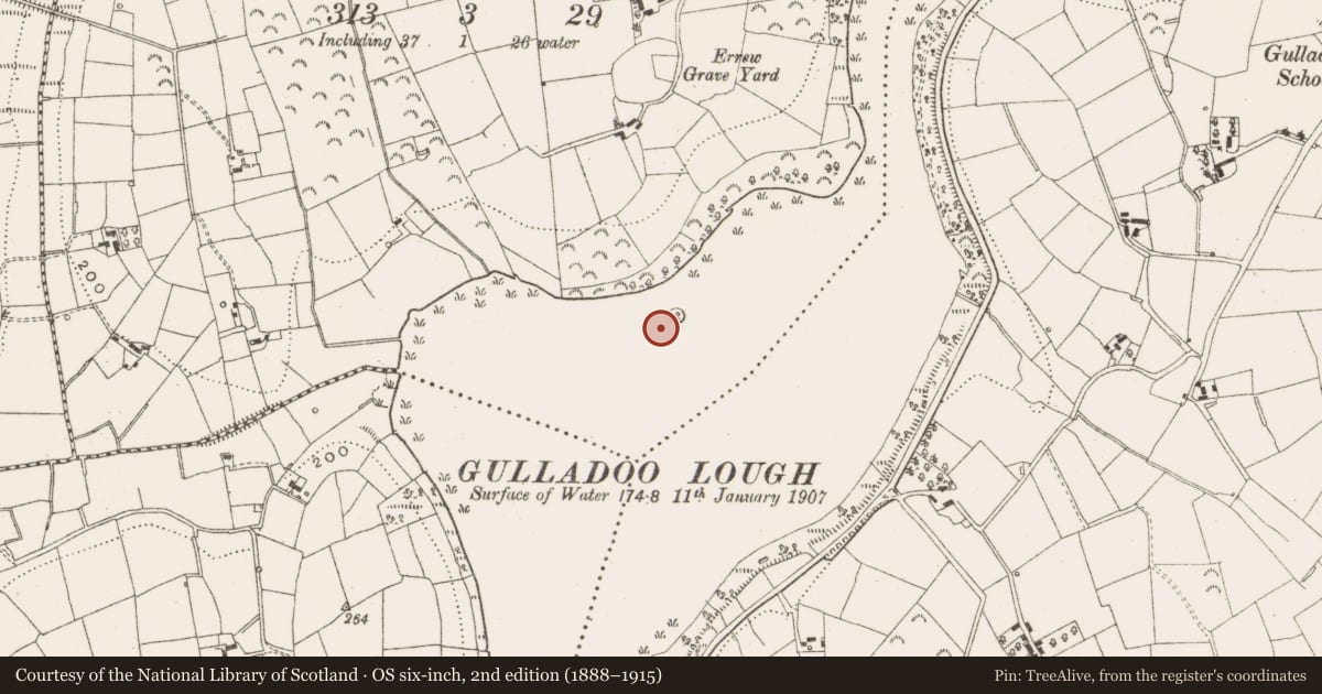 Ordnance Survey six-inch map, 2nd edition (1888–1915) covering the location of Crannog, Errew, County Leitrim, with a pin at the register's coordinates