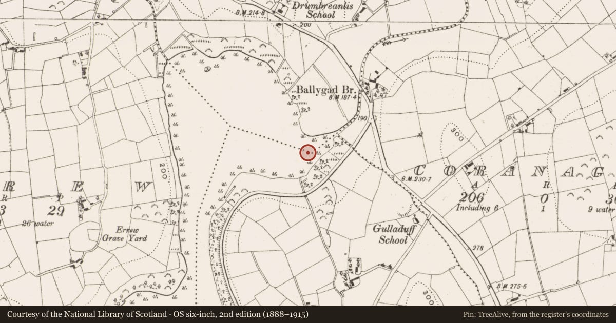 Ordnance Survey six-inch map, 2nd edition (1888–1915) covering the location of Crannog, Drumbreanlis, Gulladoo, County Leitrim, with a pin at the register's coordinates