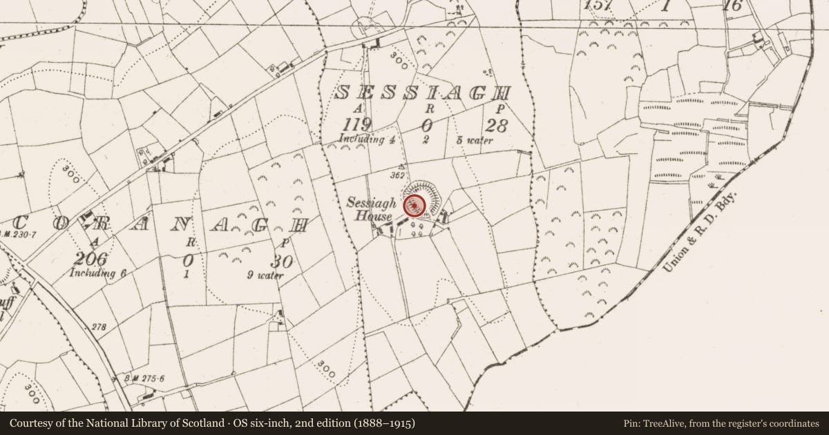 Ordnance Survey six-inch map, 2nd edition (1888–1915) covering the location of Ringfort - rath, Sessiagh, County Leitrim, with a pin at the register's coordinates