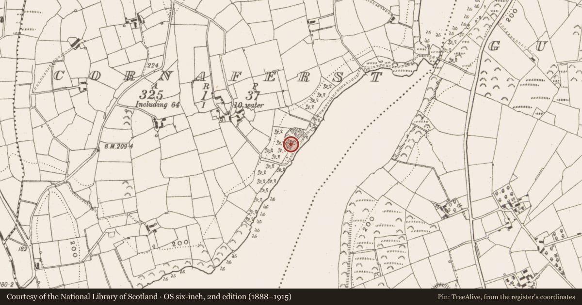 Ordnance Survey six-inch map, 2nd edition (1888–1915) covering the location of Ringfort - rath, Cornaferst, County Leitrim, with a pin at the register's coordinates