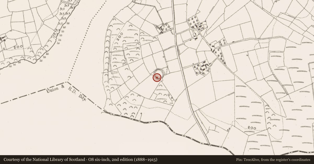 Ordnance Survey six-inch map, 2nd edition (1888–1915) covering the location of Ringfort - rath, Gulladoo, County Leitrim, with a pin at the register's coordinates