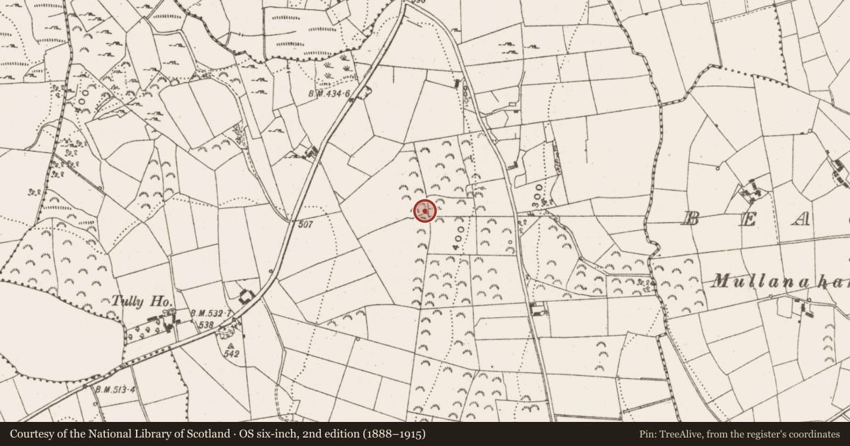 Ordnance Survey six-inch map, 2nd edition (1888–1915) covering the location of Bullaun stone, Tully South, County Leitrim, with a pin at the register's coordinates