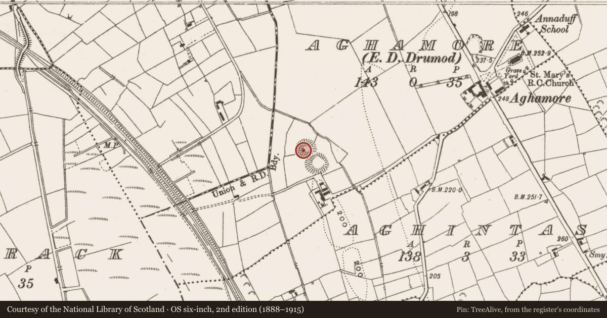 Ordnance Survey six-inch map, 2nd edition (1888–1915) covering the location of Ringfort - rath, Aghamore, County Leitrim, with a pin at the register's coordinates