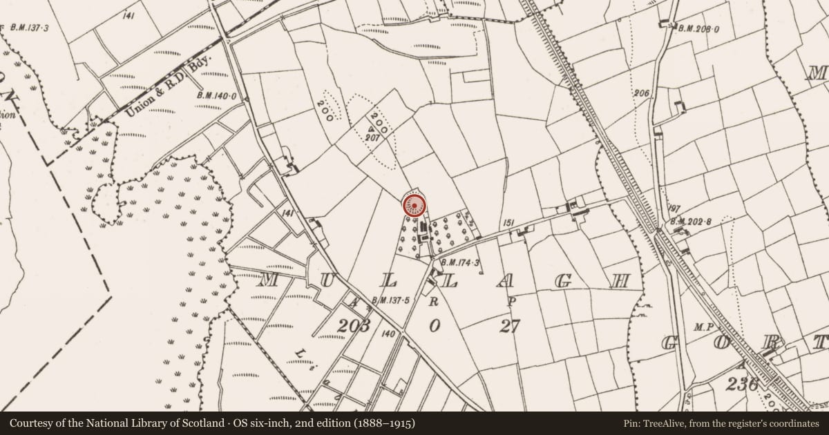 Ordnance Survey six-inch map, 2nd edition (1888–1915) covering the location of Ringfort - unclassified, Mullagh, County Leitrim, with a pin at the register's coordinates